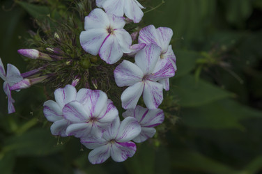 Similar image 21213269