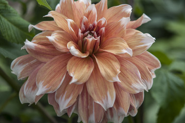 Similar image 21213270