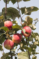 Similar image 21213271