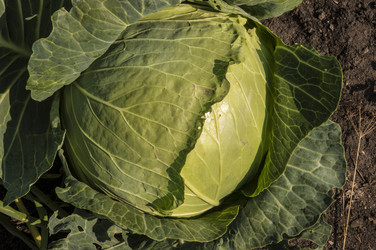 Similar image 21213273