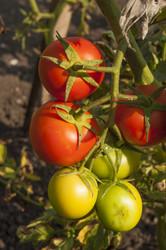 Similar image 21213274