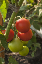 Similar image 21213275