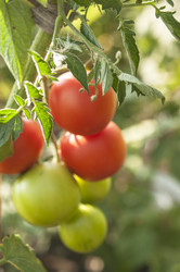 Similar image 21213276