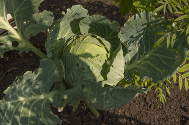 Similar image 21213277