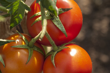 Similar image 21213290