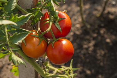 Similar image 21213291