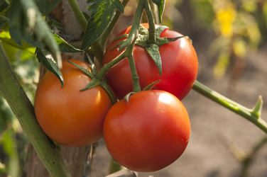 Similar image 21213292