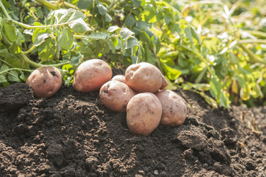 Similar image 21213297