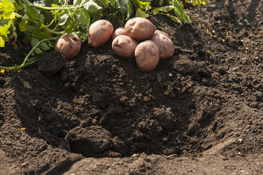 Similar image 21213298