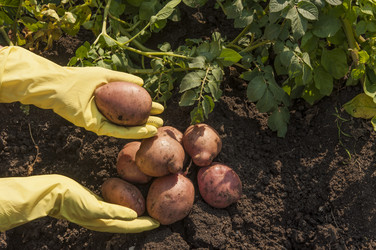 Similar image 21213300