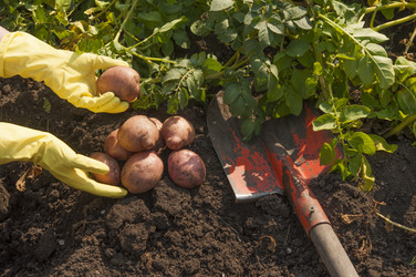 Similar image 21213301