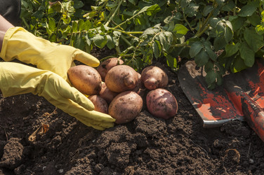 Similar image 21213302