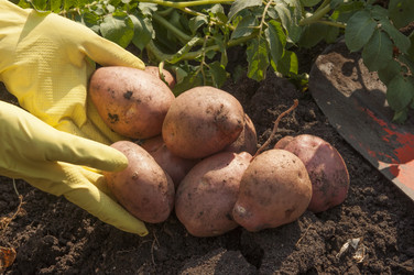 Similar image 21213303