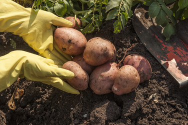 Similar image 21213304