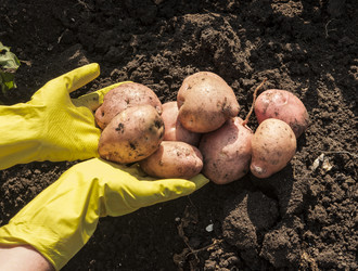 Similar image 21217466