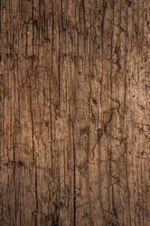 Similar image 21217468