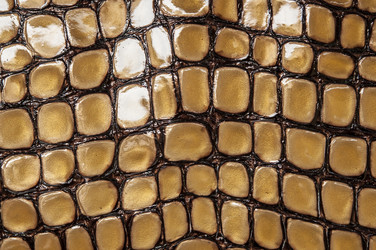 Similar image 21217475