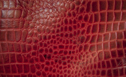 Similar image 21217480