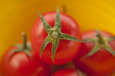 Similar image 21217481