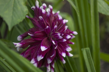 Similar image 21217483