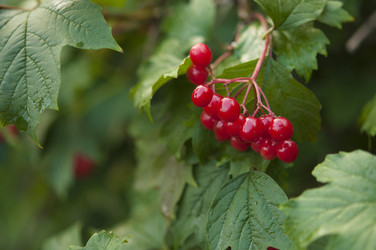 Similar image 21217484