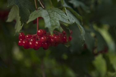 Similar image 21217486