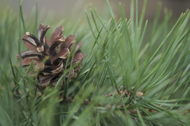 Similar image 21217487