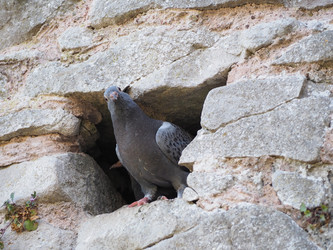 Similar image 21247592