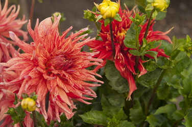 Similar image 21217492