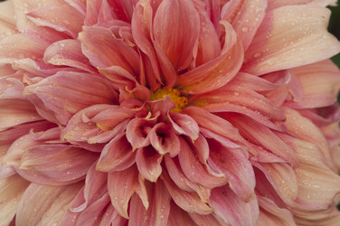 Similar image 21217494