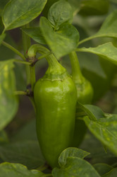 Similar image 21217497