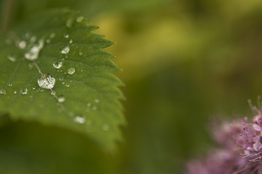 Similar image 21217505