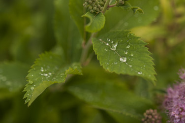 Similar image 21218485