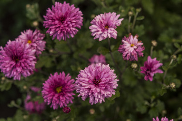 Similar image 21218486