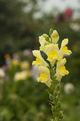 Similar image 21218487