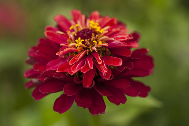 Similar image 21218488