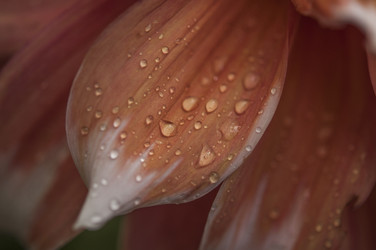 Similar image 21218490