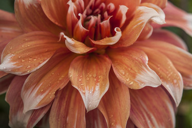 Similar image 21218491