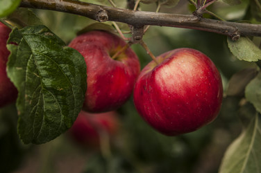 Similar image 21218492