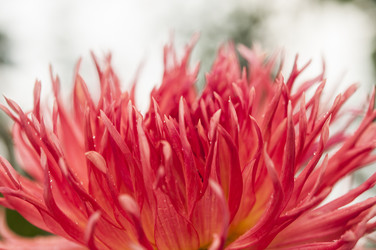 Similar image 21219539