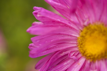 Similar image 21219540