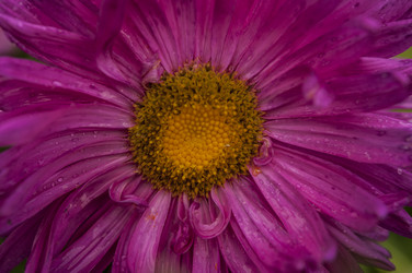 Similar image 21219541