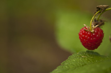 Similar image 21219542