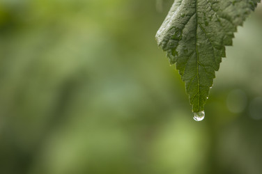 Similar image 21219543