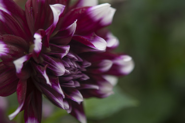 Similar image 21219544