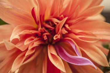 Similar image 21219546