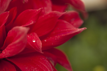 Similar image 21219547