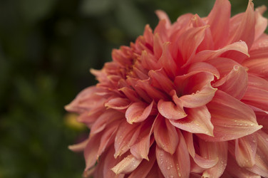 Similar image 21219559