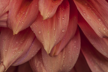 Similar image 21219561