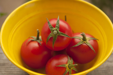 Similar image 21219563